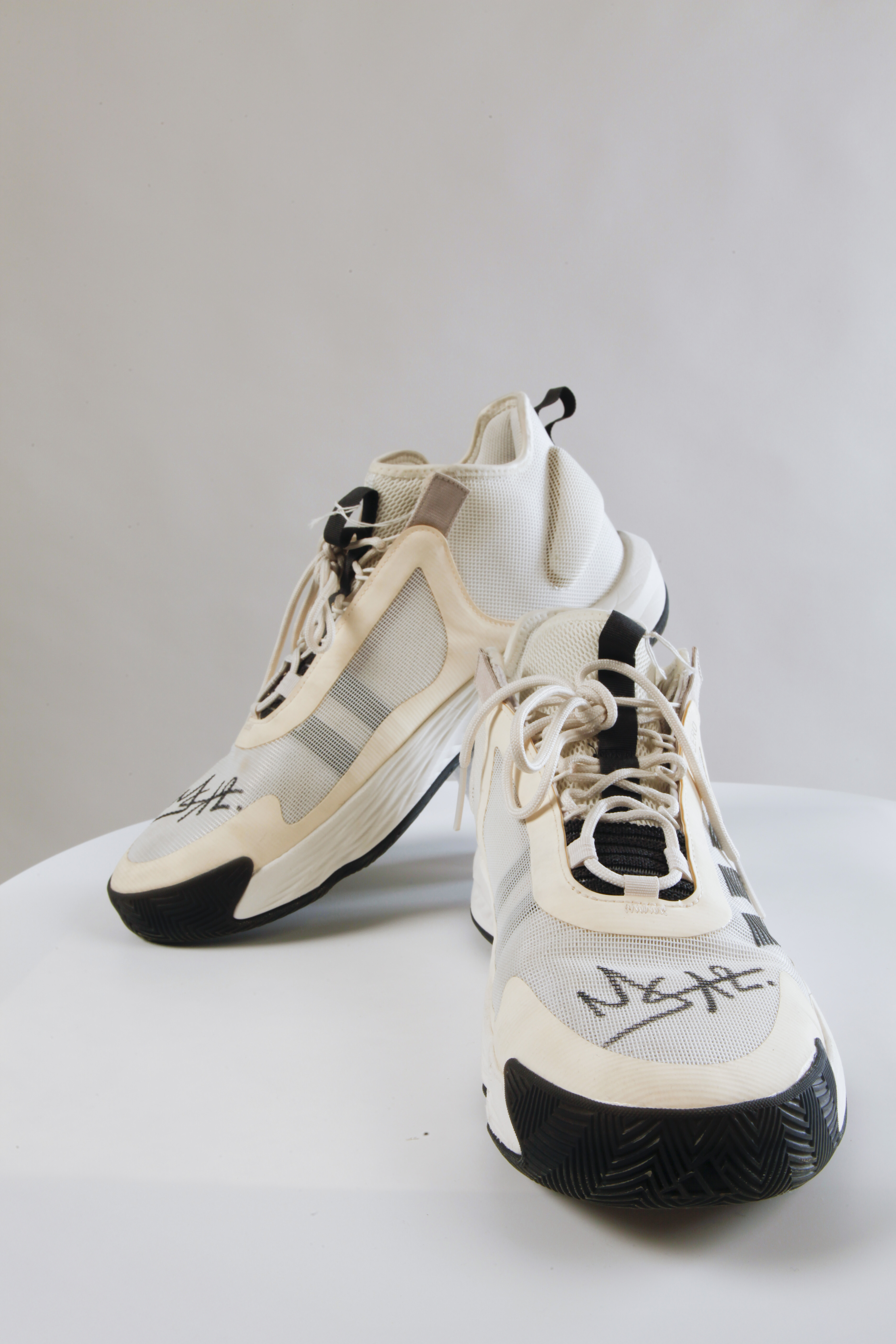 Paire de chaussure Nando de Colo JO 2024