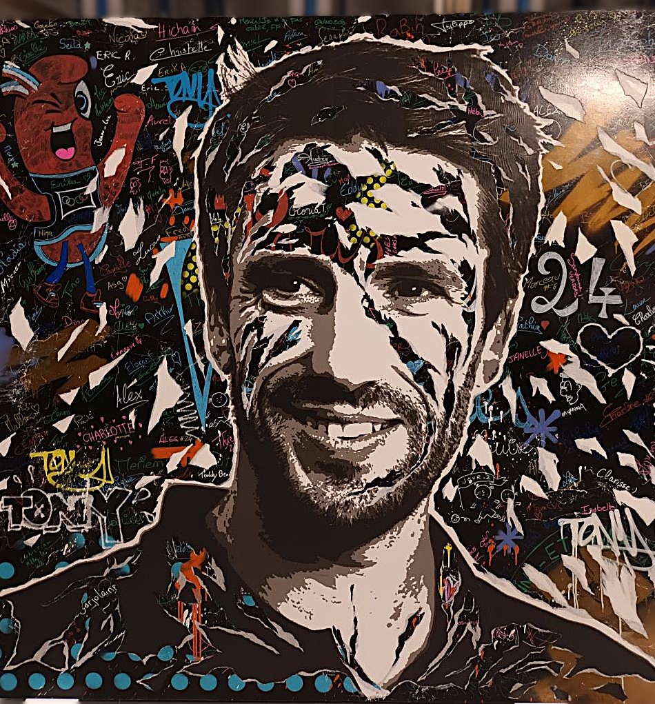 Tableau Jo di Bona - Tony Estanguet