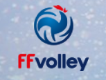 Equipo francés de voleibol